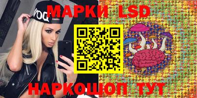 индика Татарск